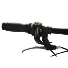 Folding 20''