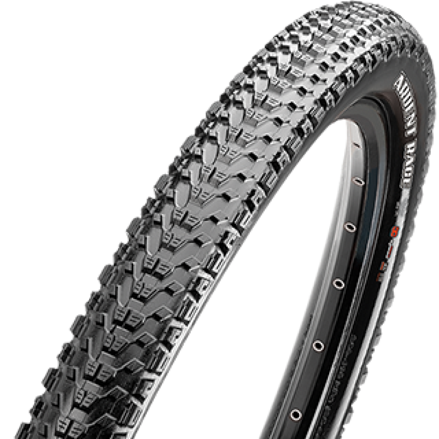 Ardent Race  29x2.20 EXO TLR
