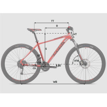 Hardy 7.0 29'' Hardy 7.0 29''