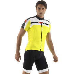 Silverline Yellow