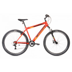 TRX 100 29