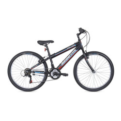 TRX 100 Boy 24"