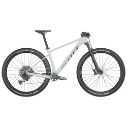 Scale 920