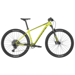 Scale 970 2022