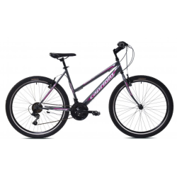 Passion Lady Grey Pink 26''