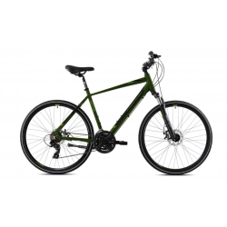 700c Trekking Roadster Green