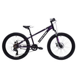 LC 240 Disc Violet