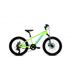 LC 200 Disc Green Blue