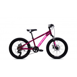 LC 200 Disc Purple Pink