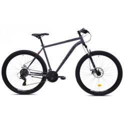 Oxygen 29'' Disk Grey