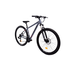 Oxygen 29'' Disk Silver matt Oxygen 29'' Disk Silver matt