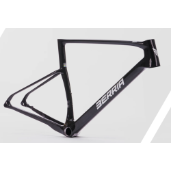 Belador BR Frameset 6G
