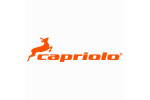 Capriolo