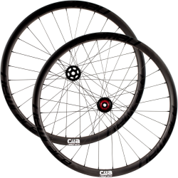 C30-C4A Mtb Disc
