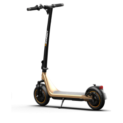 Hikerboy Curtis Dual Gold
