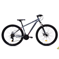 Oxygen 29'' Disk Silver matt