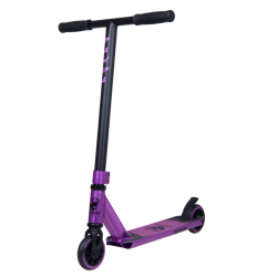 Cub Purple
