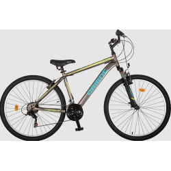 Steed