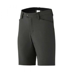 Transit Path Shorts